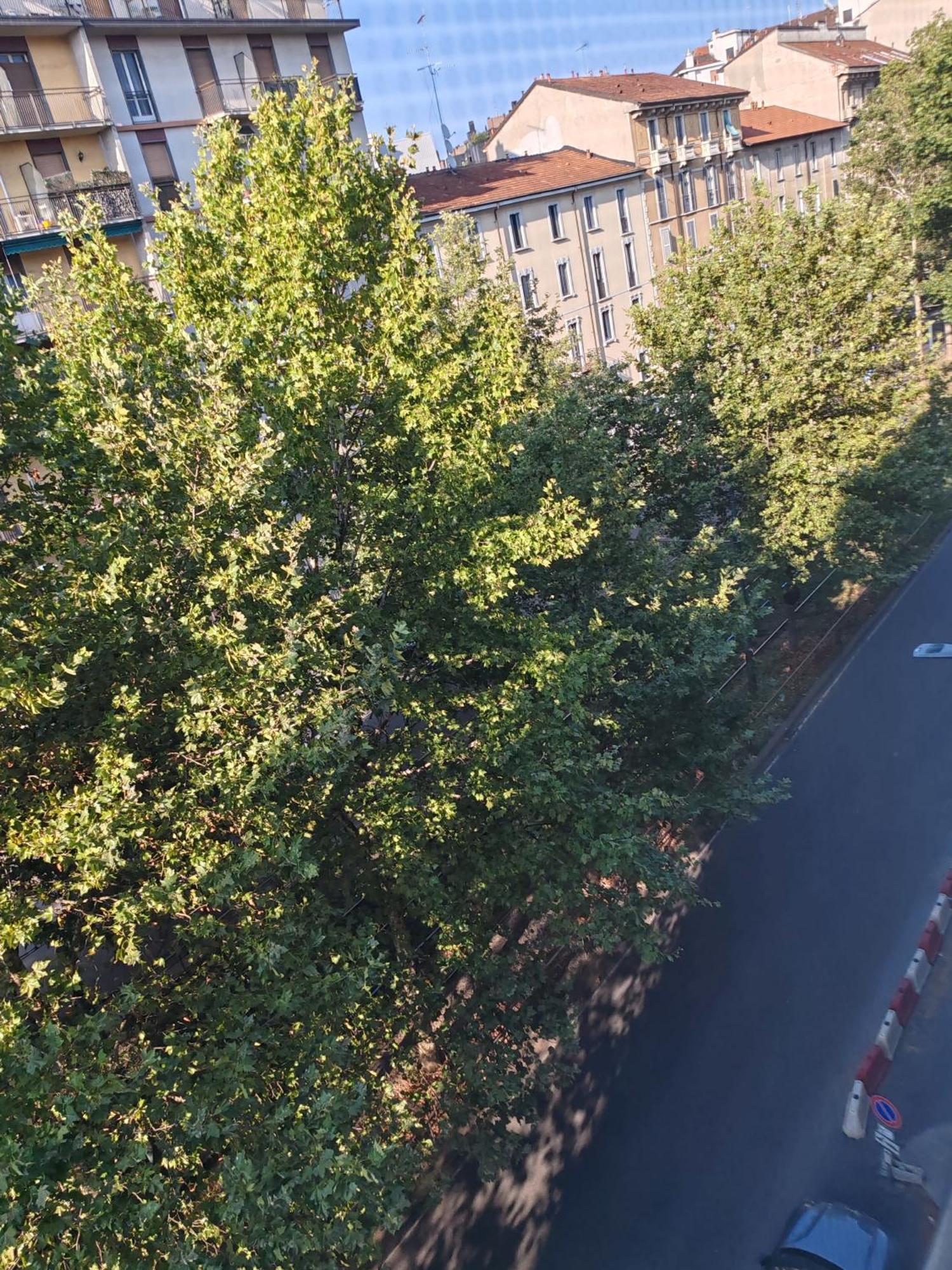 La Casa Di Cris - Milano, Appartamento Zona Sempione Bagian luar foto